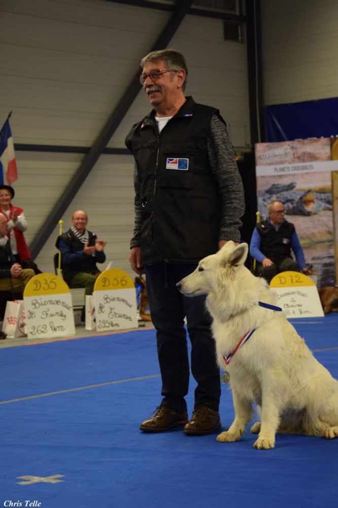 Résultats du Berger Blanc Suisse en pistageFR Résultats du Berger Blanc Suisse en pistageFR