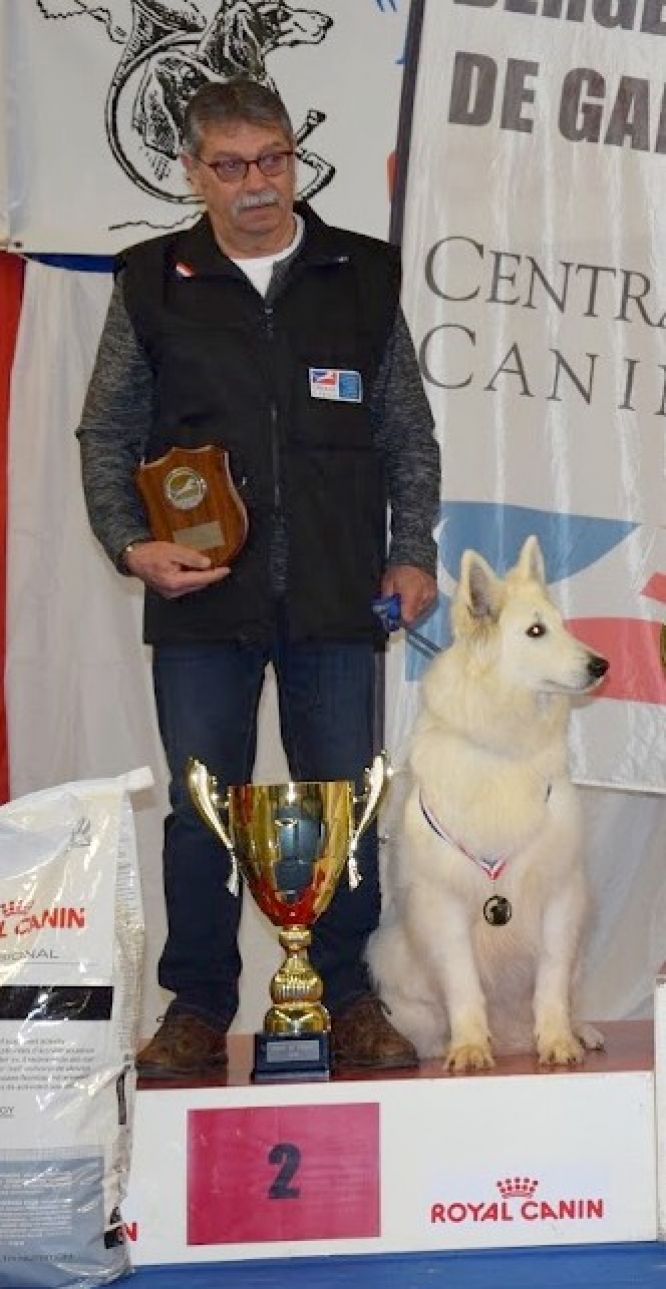 Résultats du Berger Blanc Suisse en pistageFR Résultats du Berger Blanc Suisse en pistageFR