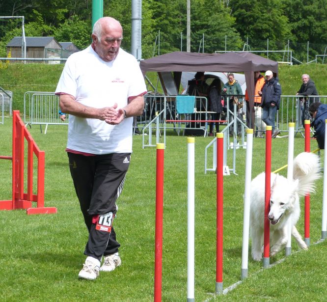 Résultats du Berger Blanc Suisse en agility Résultats du Berger Blanc Suisse en agility