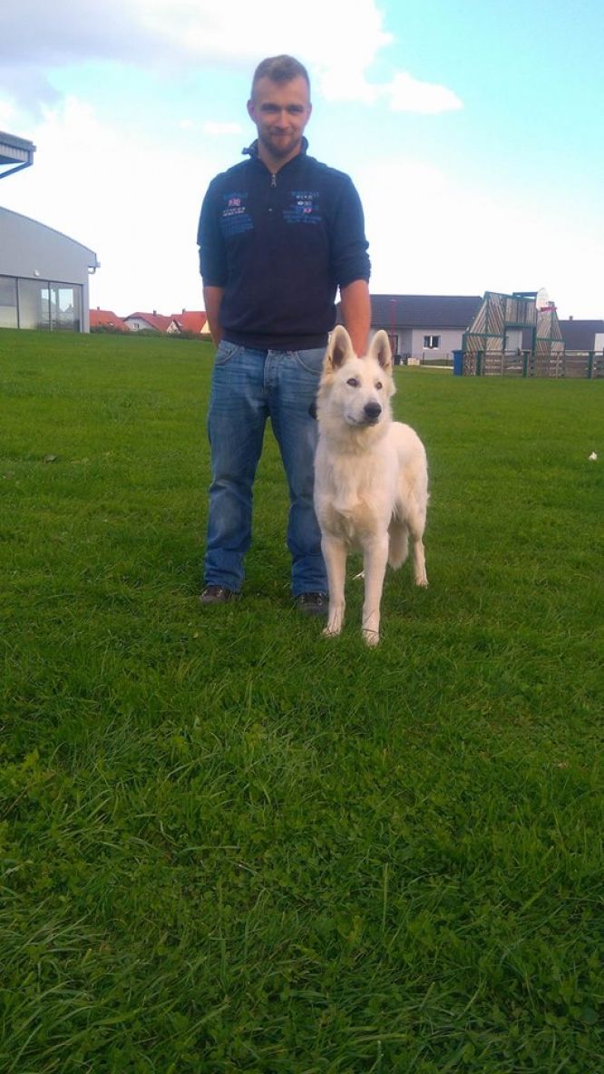 Résultats du Berger Blanc Suisse en pistageFCI Résultats du Berger Blanc Suisse en pistageFCI