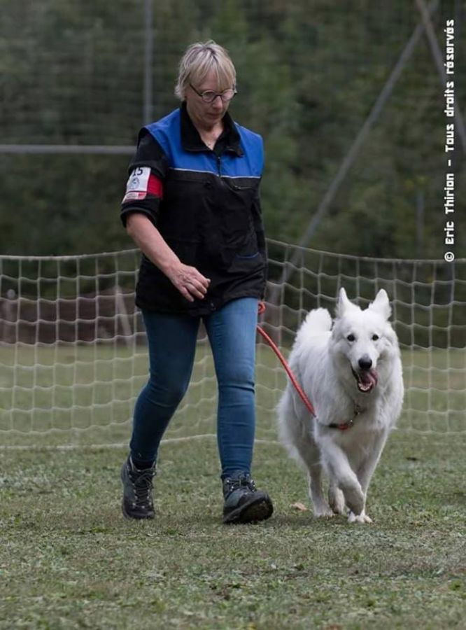 Résultats du Berger Blanc Suisse en sauvetage Résultats du Berger Blanc Suisse en sauvetage