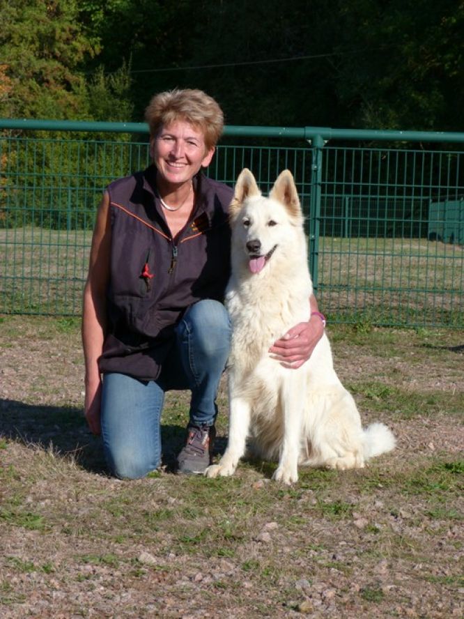 Résultats du Berger Blanc Suisse en obeissance Résultats du Berger Blanc Suisse en obeissance