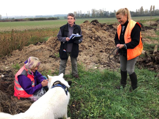 Résultats du Berger Blanc Suisse en RU Résultats du Berger Blanc Suisse en RU