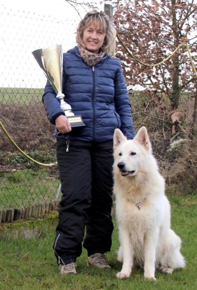 Résultats du Berger Blanc Suisse en pistageFCI Résultats du Berger Blanc Suisse en pistageFCI