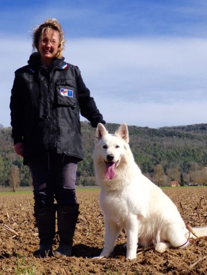 Résultats du Berger Blanc Suisse en pistageFCI Résultats du Berger Blanc Suisse en pistageFCI