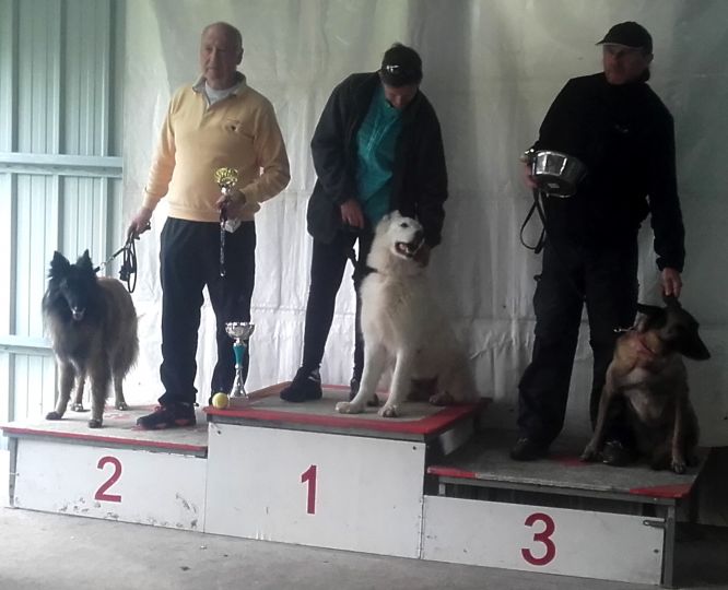 Résultats du Berger Blanc Suisse en agility Résultats du Berger Blanc Suisse en agility