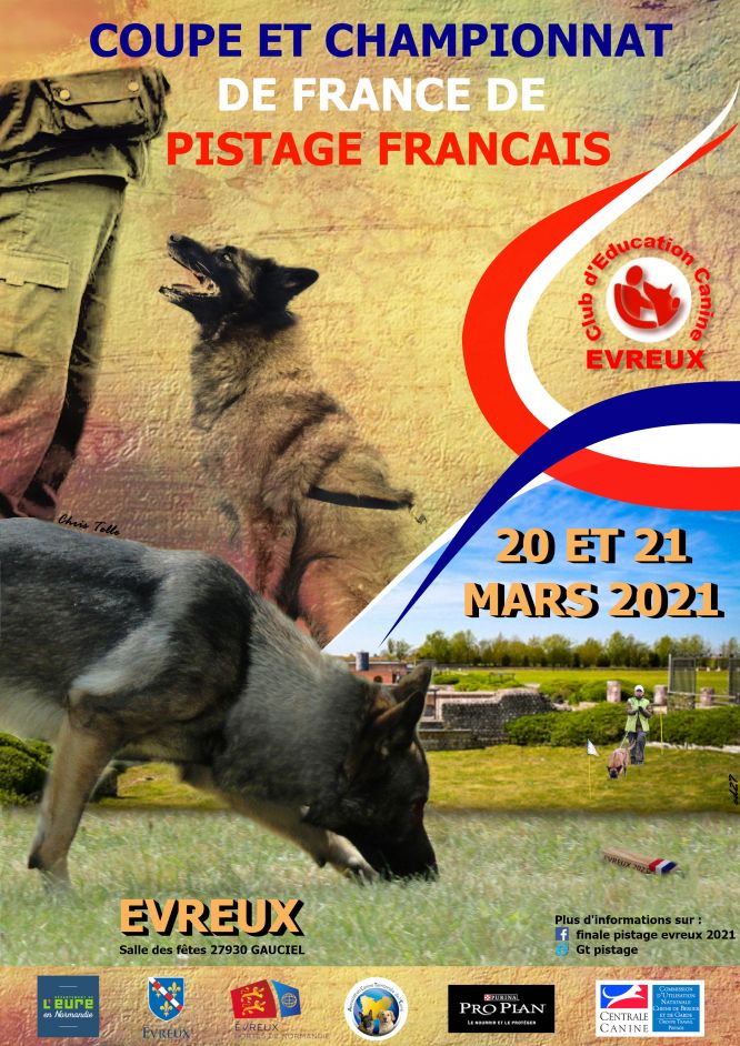 Résultats du Berger Blanc Suisse en pistageFR Résultats du Berger Blanc Suisse en pistageFR
