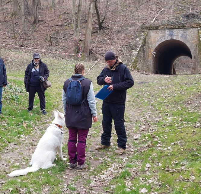 Résultats du Berger Blanc Suisse en sauvetage Résultats du Berger Blanc Suisse en sauvetage