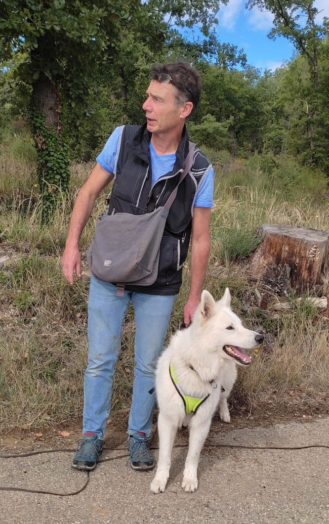 Résultats du Berger Blanc Suisse en RU Résultats du Berger Blanc Suisse en RU