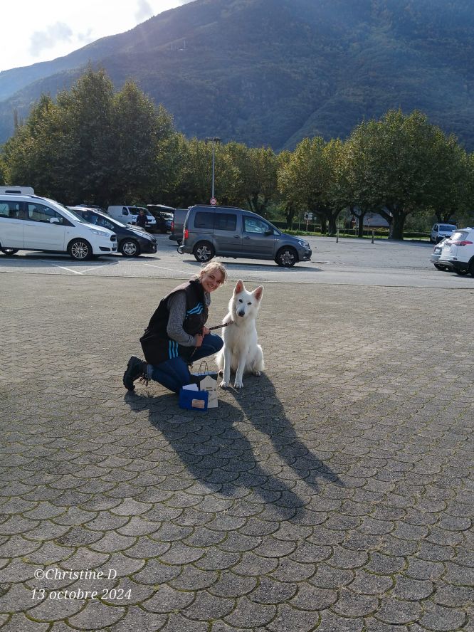 Résultats du Berger Blanc Suisse en sauvetage Résultats du Berger Blanc Suisse en sauvetage