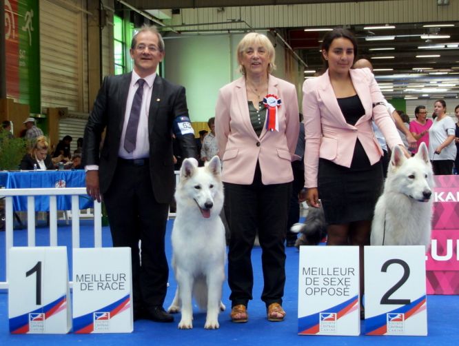 Championnat de France 2018 Championnat de France 2018