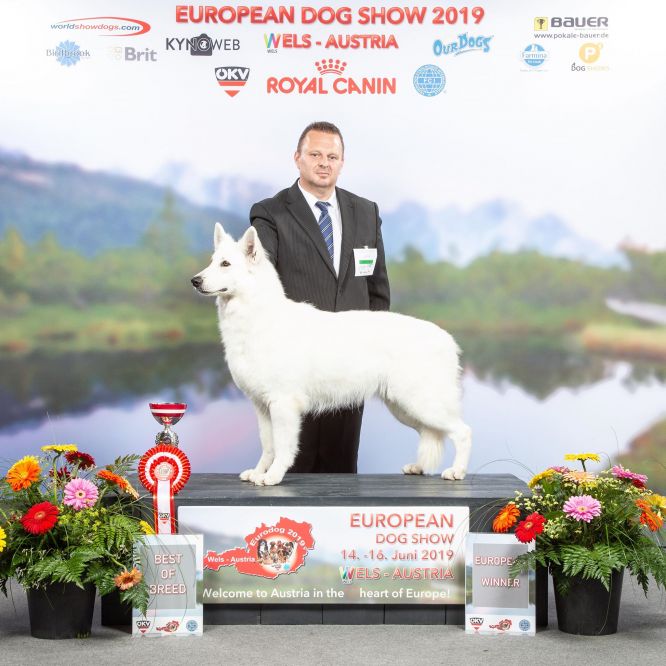 Championnat D'EUROPE Championnat D'EUROPE