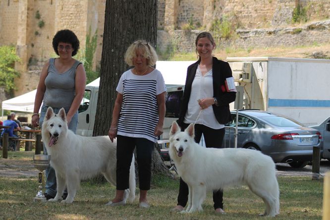 Régionale d'Elevage Nouvelle Aquitaine 2019 Régionale d'Elevage Nouvelle Aquitaine 2019