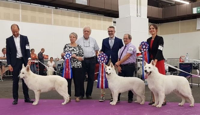 Nationale d'Elevage 2019 - Dijon Nationale d'Elevage 2019 - Dijon