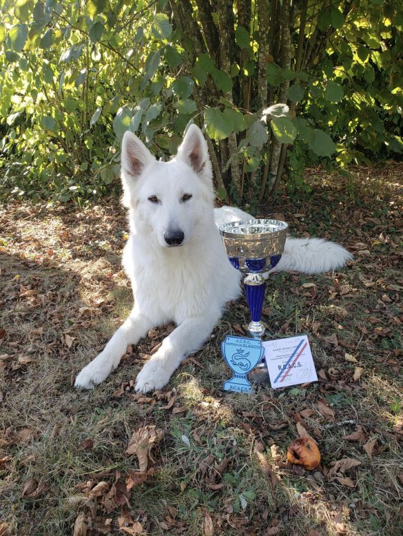 Portrait de Syme de la Croix Naudin