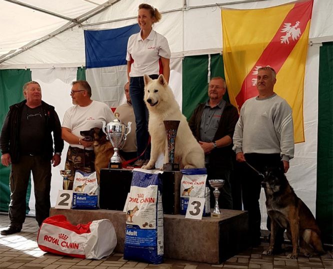 Juan Aiko P'tits Loups d'Amour