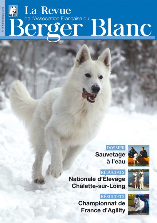 Revue du berger blanc suisse numéro 11