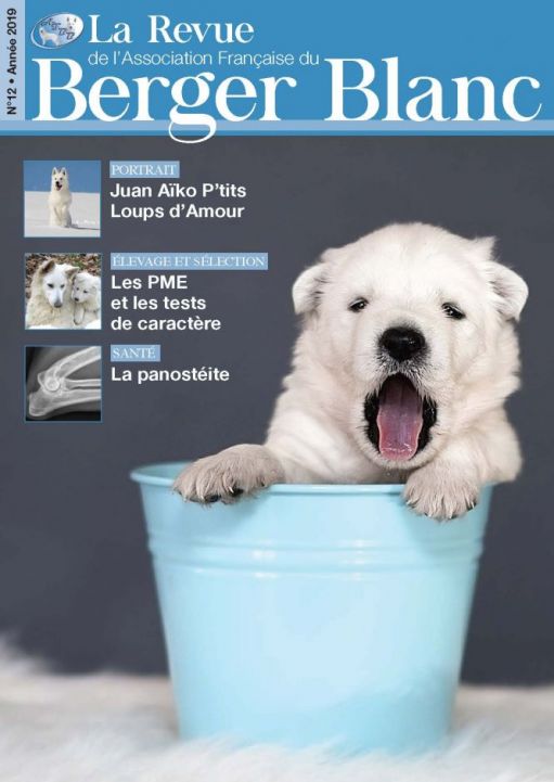 Revue du berger blanc suisse numéro 12